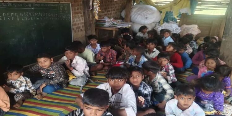 बड़वानी में शिक्षा की दुर्दशा:गाय-बकरियों के तबेले में ठूंसे गए 40 आदिवासी बच्चे!