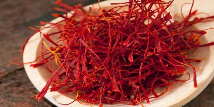 कश्मीर में केसर उत्पादन में गिरावट, किसानों ने सोलर पंप लगाने की उठाई मांग