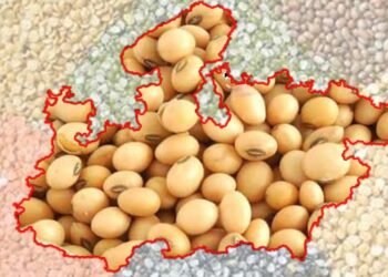 मध्यप्रदेश कृषि उत्पादन में देश के शीर्ष राज्यों में, खाद्यान्न, दलहन और तिलहन में अग्रणी