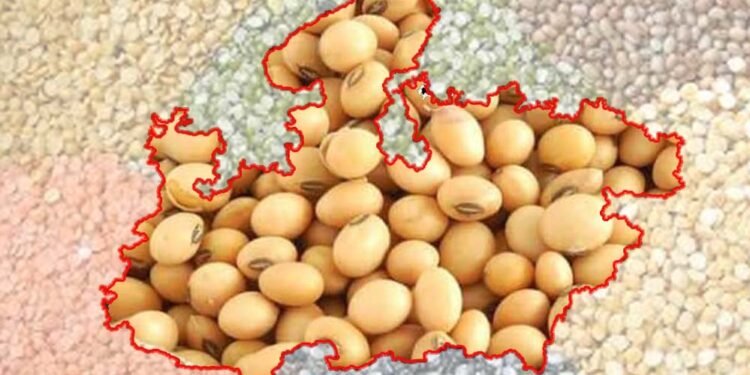 मध्यप्रदेश कृषि उत्पादन में देश के शीर्ष राज्यों में, खाद्यान्न, दलहन और तिलहन में अग्रणी