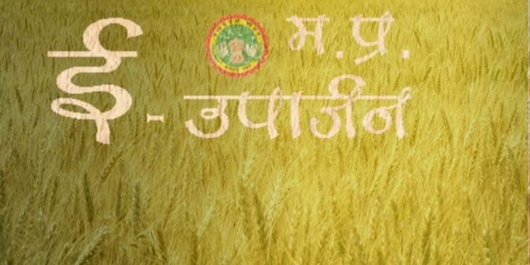 4 लाख 42 हजार से अधिक किसानों ने समर्थन मूल्य पर गेहूँ उपार्जन के लिये कराया पंजीयन