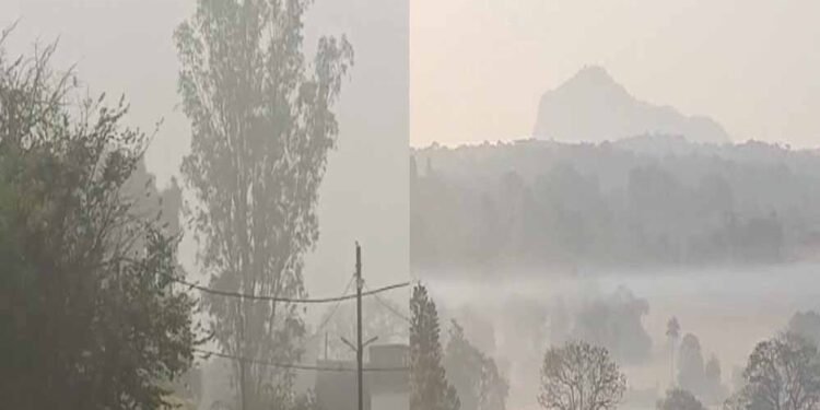 एमपी में घना कोहरा, 12 से ज्यादा ट्रेनें लेट; मालवा एक्सप्रेस 8 घंटे देरी से, शाजापुर में हादसे में युवक की मौत