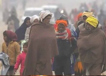 MP में अगले 2 दिन तेज सर्दी, कटनी-शहडोल में सबसे कम तापमान, भोपाल-इंदौर में लुढ़का पारा