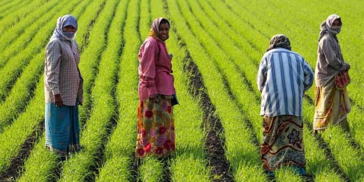 एमपी में होगा ‘जहर मुक्त खेती’ का महायज्ञ, देशभर के किसान पहली बार एक साथ होंगे जुटे