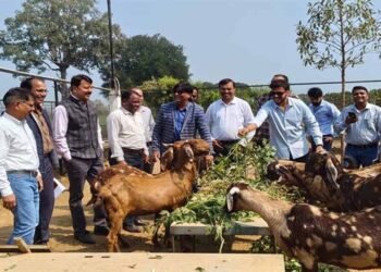 कृषि और पशुपालन किसानों के लिए बन रहा लाभकारी व्यवसाय