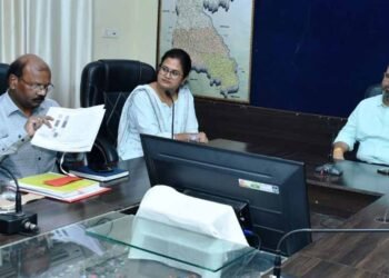 पटवारी-आरआई 15 दिन बाद काम पर लौटे, कलेक्टर की बैठक में हड़ताल समाप्त का किया ऐलान