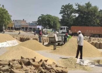 धान उपार्जन में बड़ा फर्जीवाड़ा, राइस मिल के मुंशी समेत 4 गिरफ्तार