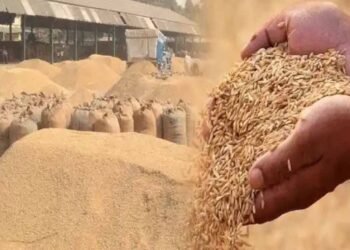 550 किसानों को फिर मिला धान बेचने का मौका, धान खरीदी तिथि दो दिन और बढ़ाई
