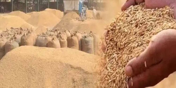 550 किसानों को फिर मिला धान बेचने का मौका, धान खरीदी तिथि दो दिन और बढ़ाई
