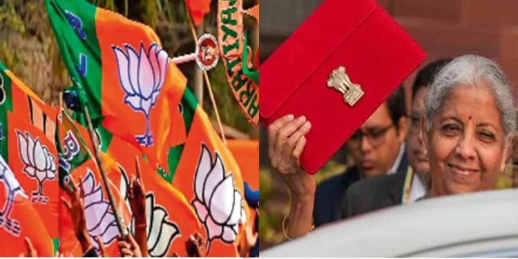 आम बजट को खास बनाने लोगों को खूबियां बताएगी BJP, 10 दिन तक चलेगा महाभियान
