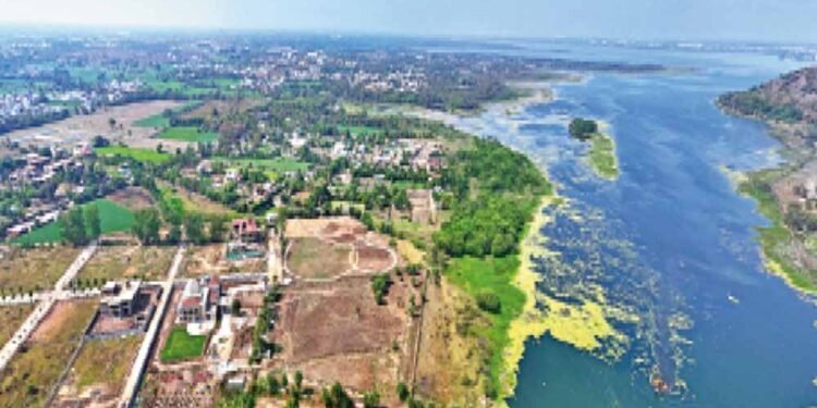 30 साल में 10 वर्ग किमी सिमटा भोपाल का बड़ा तालाब, भू-माफियाओं पर सांसद सख्त
