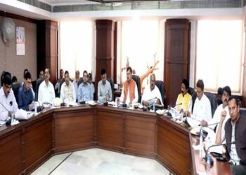 परामर्शदात्री समिति की बैठक में प्राप्त सुझावों पर किया जायेगा अमल : ऊर्जा मंत्री  तोमर