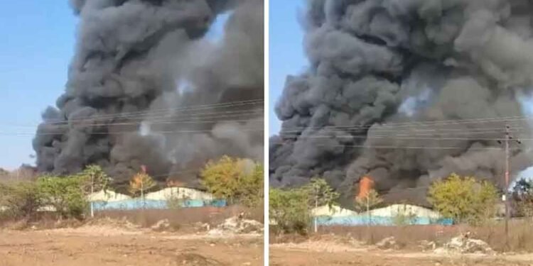 भोपाल में भीषण आग का तांडव: फर्नीचर फैक्ट्री धधकी, 7 किमी दूर तक छाया धुएं का गुबार
