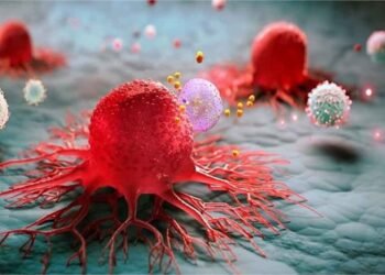 शरीर में चुपके से घर कर रहा है कैंसर! आज नहीं बदलीं ये 4 आदतें तो बढ़ सकता है खतरा