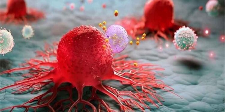 शरीर में चुपके से घर कर रहा है कैंसर! आज नहीं बदलीं ये 4 आदतें तो बढ़ सकता है खतरा