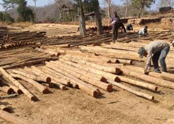 डिजिटल सिस्टम से बढ़ी पारदर्शिता, रोजगार सृजन में वन विकास निगम की नई पहल