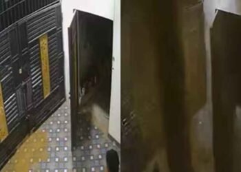 घर के अंदर अचानक फटी जमीन, तेज धार से फूट पड़ा पानी; दहशत में परिवार