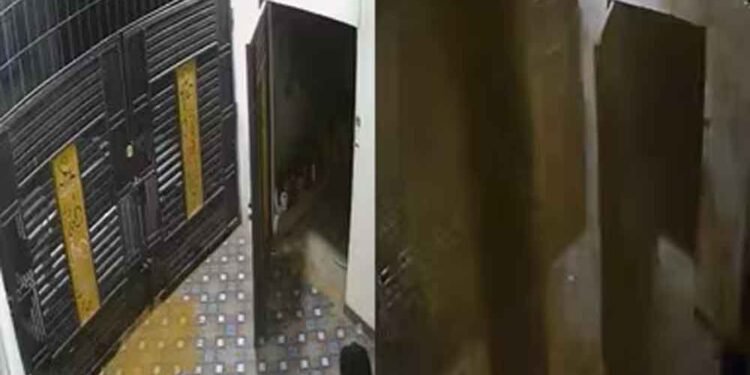 घर के अंदर अचानक फटी जमीन, तेज धार से फूट पड़ा पानी; दहशत में परिवार