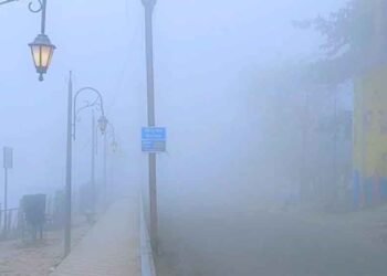 एमपी में मौसम का मिजाज बदलता रहा: कोहरा और ठंड ने बढ़ाई परेशानी, 48 घंटे में बारिश का अलर्ट