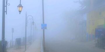एमपी में मौसम का मिजाज बदलता रहा: कोहरा और ठंड ने बढ़ाई परेशानी, 48 घंटे में बारिश का अलर्ट