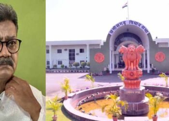 शून्यकाल में उठा दुर्ग में अफीम खेती का मुद्दा, विपक्ष ने कहा – ‘धान का कटोरा’ बन रहा ‘अफीम का कटोरा’