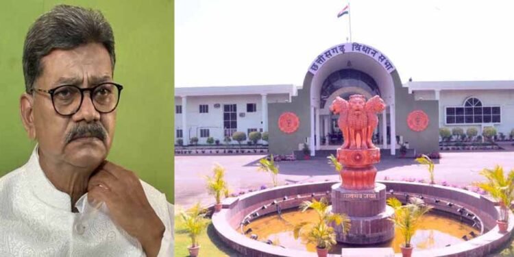 शून्यकाल में उठा दुर्ग में अफीम खेती का मुद्दा, विपक्ष ने कहा – ‘धान का कटोरा’ बन रहा ‘अफीम का कटोरा’