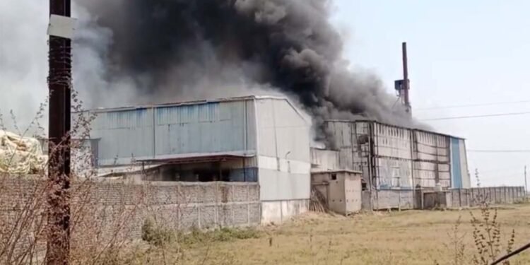 राइस मिल में लगी भीषण आग, काबू पाने में जुटी फायर ब्रिगेड और स्थानीय लोग