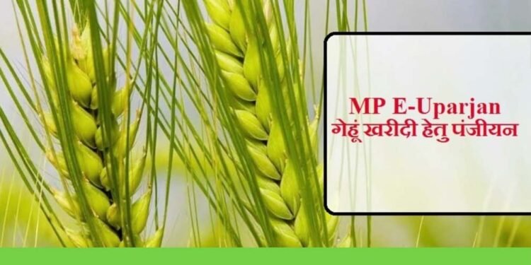 इंदौर, उज्जैन, भोपाल और नर्मदापुरम संभाग में 1 अप्रैल तथा शेष संभागों में 7 अप्रैल से होगी गेहूँ खरीदी : खाद्य मंत्री  राजपूत
