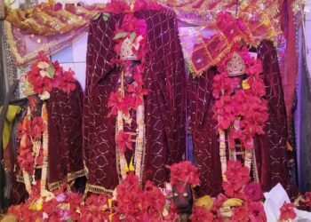 मां बिरासिनी धाम बिलासपुर में मातारानी के दर्शन के लिए दर्शनार्थियों की लगी भीड़