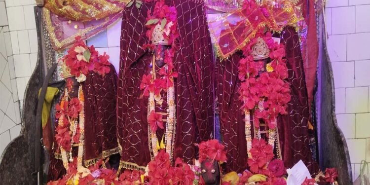 मां बिरासिनी धाम बिलासपुर में मातारानी के दर्शन के लिए दर्शनार्थियों की लगी भीड़