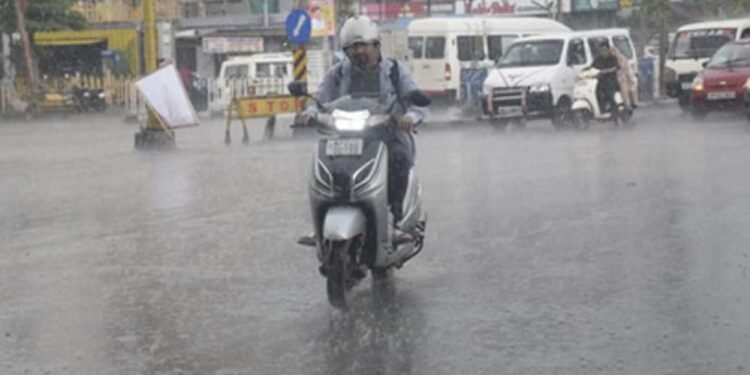 भोपाल, जबलपुर समेत आधे MP में बारिश, कई जिलों में ओले गिरने से फसलों को नुकसान; 34 जिलों में अलर्ट