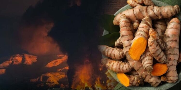 ईरान जंग का असर: हल्दी के दाम ₹3,500 प्रति क्विंटल घटे, किसानों में चिंता