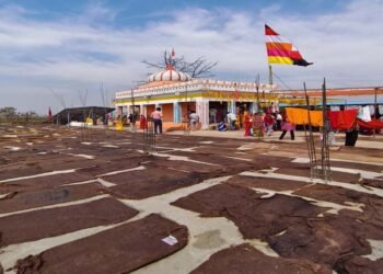 मां बिरासिनी धाम बिलासपुर में चैत्र नवरात्रि के नवमी के दिन श्रद्धा का उमड़ा सैलाब