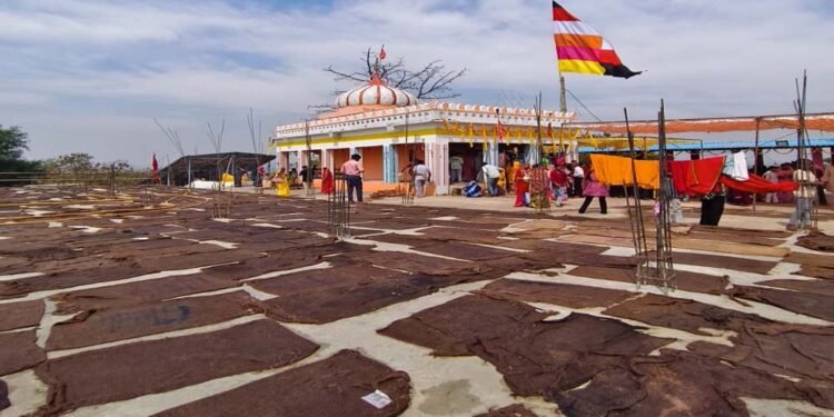 मां बिरासिनी धाम बिलासपुर में चैत्र नवरात्रि के नवमी के दिन श्रद्धा का उमड़ा सैलाब