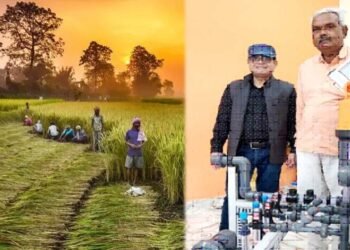 उद्यानिकी स्टोरी:पारंपरिक खेती से प्रगतिशील बागवानी तक का सफर