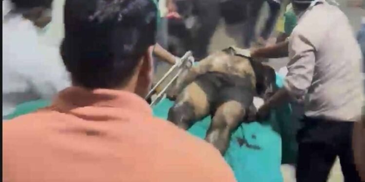 रायपुर हादसा: सेप्टिक टैंक की सफाई के दौरान 3 सफाईकर्मियों की मौत, परिजनों का जोरदार हंगामा