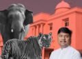 छत्तीसगढ़ विधानसभा में वन मंत्री ने किया खुलासा, तीन साल में 9 बाघ और 38 हाथियों की मौत