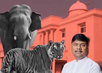छत्तीसगढ़ विधानसभा में वन मंत्री ने किया खुलासा, तीन साल में 9 बाघ और 38 हाथियों की मौत