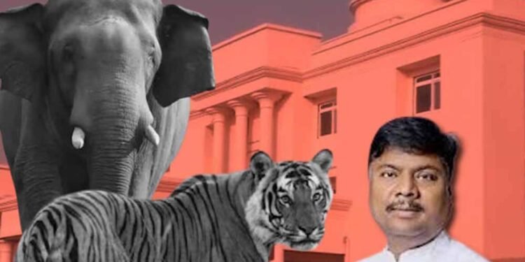 छत्तीसगढ़ विधानसभा में वन मंत्री ने किया खुलासा, तीन साल में 9 बाघ और 38 हाथियों की मौत