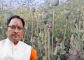 अफीम खेती पर CM साय का सख्त ऐक्शन प्लान, बोले- नक्सलियों और रसूखदारों को नहीं मिलेगी राहत