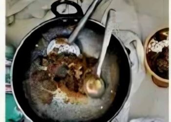 बिलासपुर जंगल रिसॉर्ट में छापा: हिरण का मांस पकाते मैनेजर समेत 4 गिरफ्तार