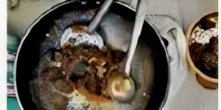 बिलासपुर जंगल रिसॉर्ट में छापा: हिरण का मांस पकाते मैनेजर समेत 4 गिरफ्तार