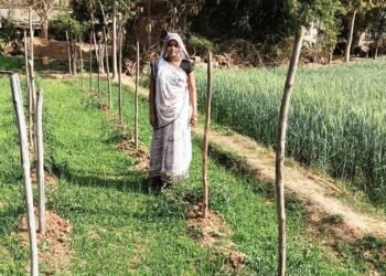 मेहनत से लिखी सफलता की कहानी