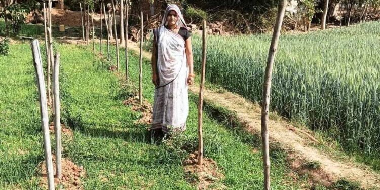 मेहनत से लिखी सफलता की कहानी