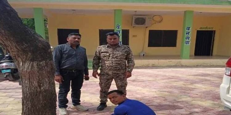 मुरैना के डायल 112 हीरोज: संवेदनशीलता का उदाहरण, घायल राष्ट्रीय पक्षी मोर को समय पर मिला उपचार