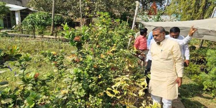 शासकीय नर्सरियों को बनाया जायेगा आदर्श नर्सरी : मंत्री  कुशवाह