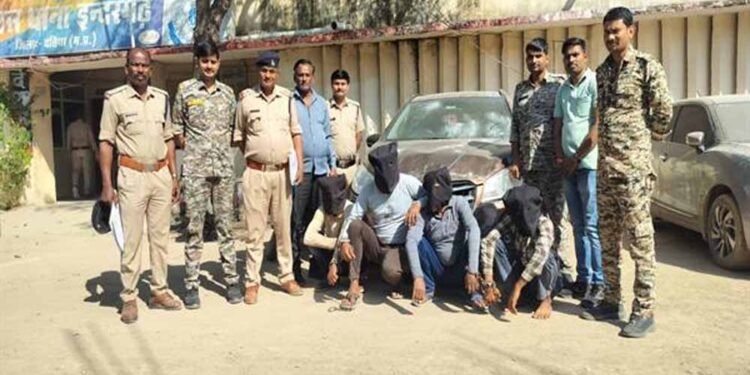 मध्यप्रदेश पुलिस की अवैध हथियारों के विरुद्ध सख्त कार्रवाई