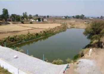 अमृत सरोवर से रिझोरा में लौटी हरियाली और खुशहाली