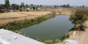 अमृत सरोवर से रिझोरा में लौटी हरियाली और खुशहाली