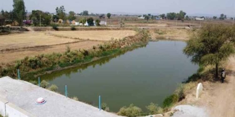 अमृत सरोवर से रिझोरा में लौटी हरियाली और खुशहाली